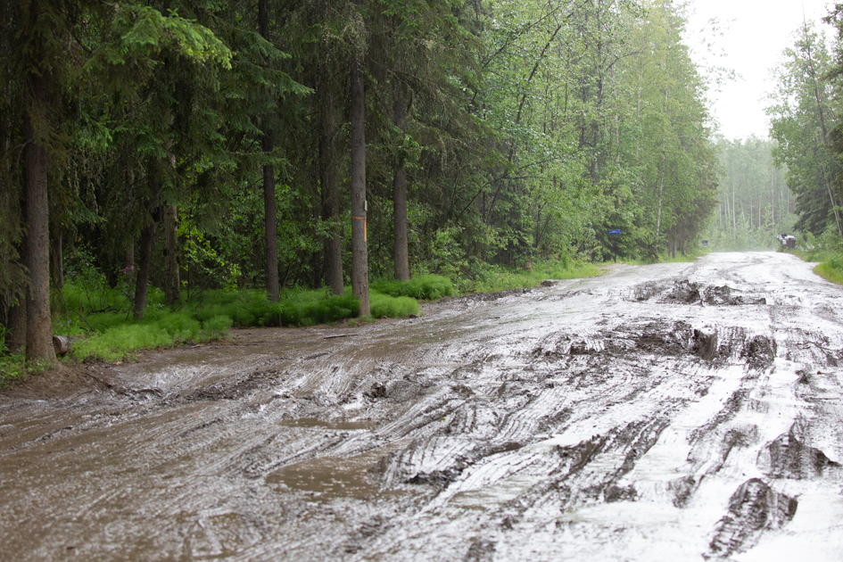 Muddy back road in rural Alaska after a summer rainstorm