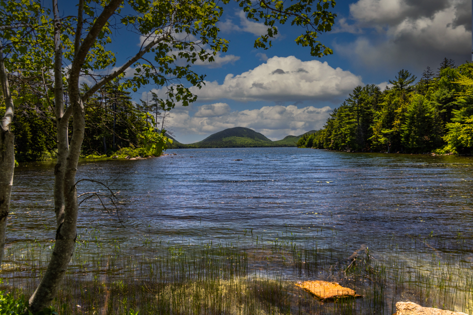 Early morning reflection of Eagle Lake surrounded by forest and Carriage Roads in Acadia National Park, Maine.

