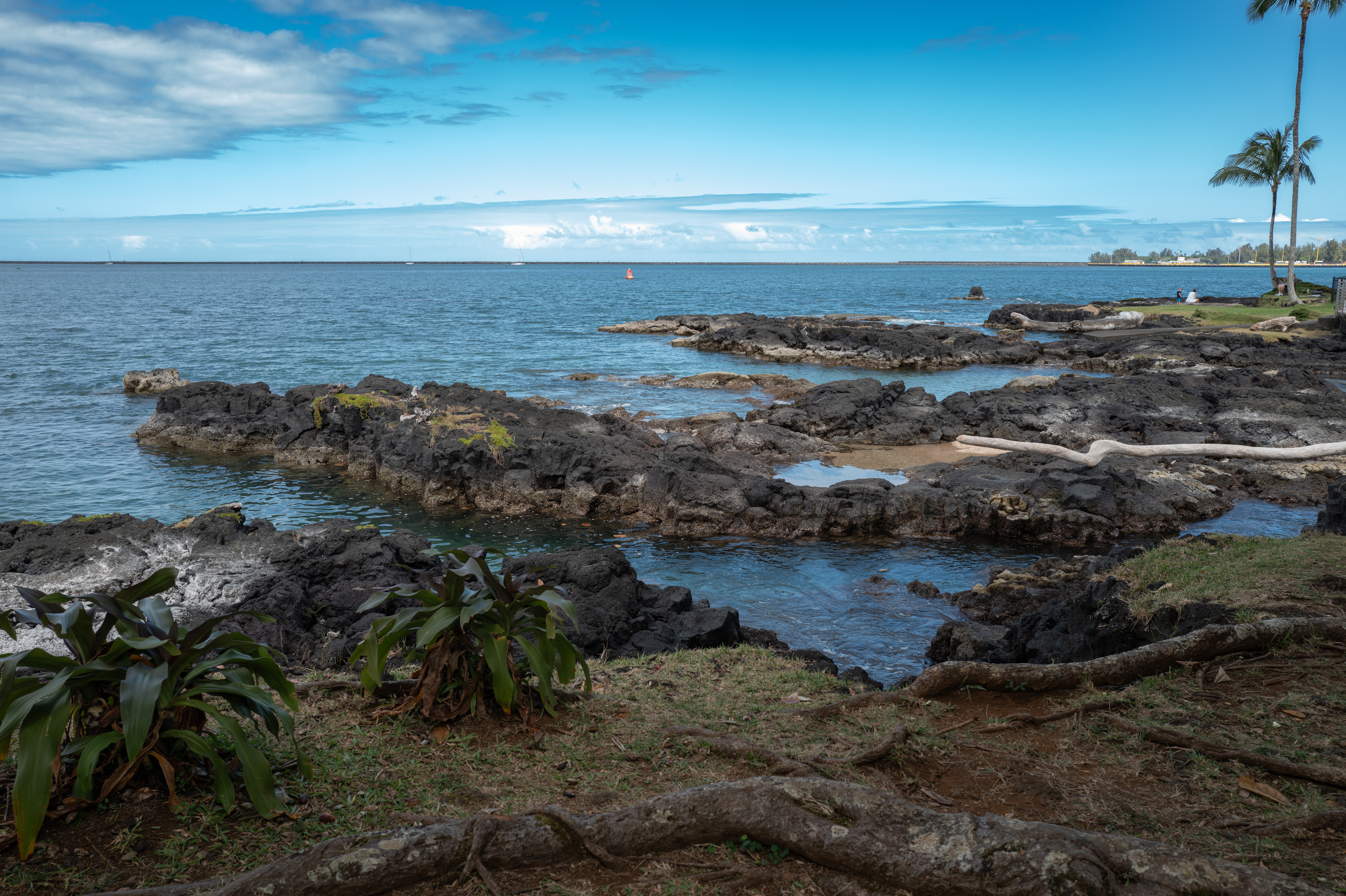 Ocean view with black lava rocks along the shoreline at the Grand Naniloa Hotel in Hilo, Hawaii