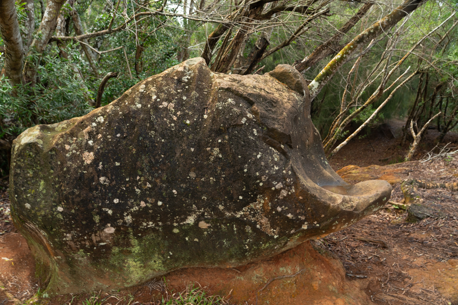 Alt Text: The Killing Stone near the beginning of the Kolekole Pass Trail on Oʻahu
