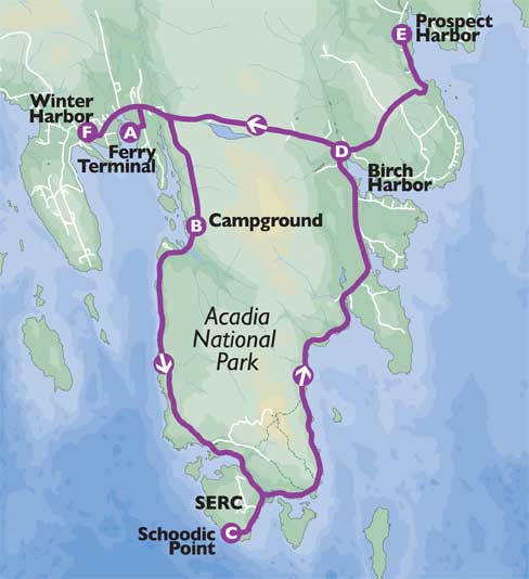 Illustrated map of the Schoodic Peninsula Loop Road showing scenic overlooks, Winter Harbor, and key points within Acadia National Park.
