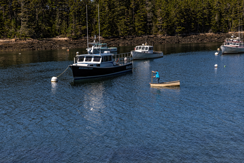 Lobsterman rowing out to his boat in the harbor
