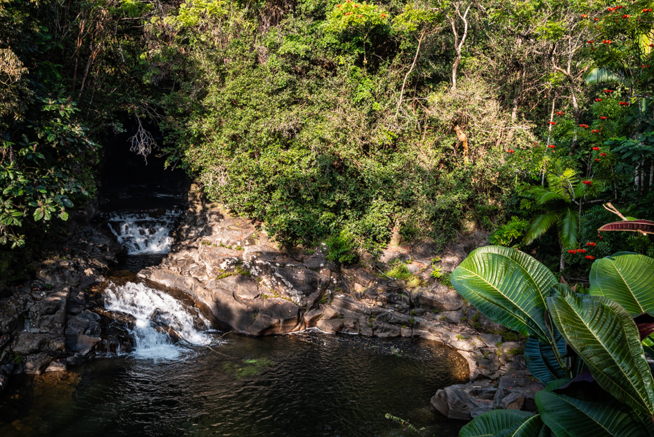 Small natural waterfall along the scenic Old Mamalahoa Highway off Route 19N on Hawaii’s Big Island