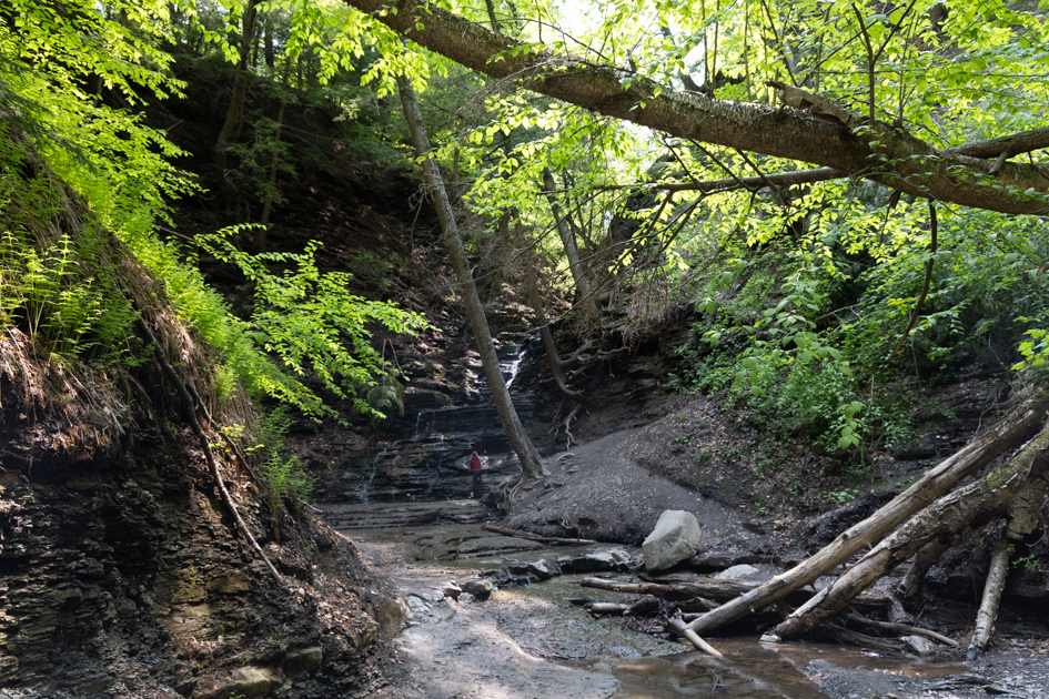 Shaded hiking trail leading through forest toward Eternal Flame Falls in Chestnut Ridge Park
