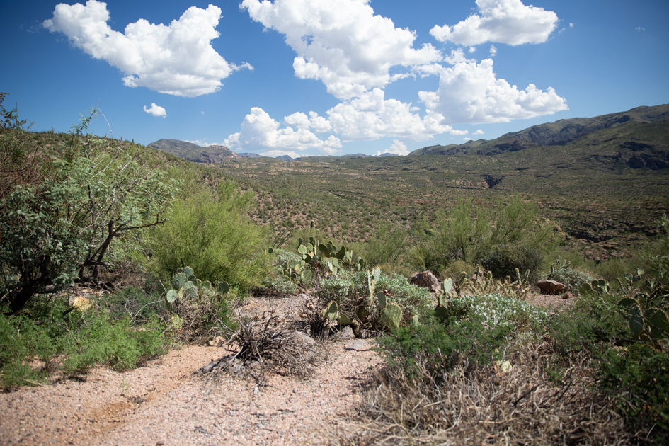 Expansive desert view from a winding dirt road near Apache Junction, Arizona, with saguaros and distant mountain ridges.