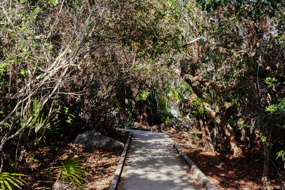 trail to Blue Hole Big Pine Key Florida Keys path through trees