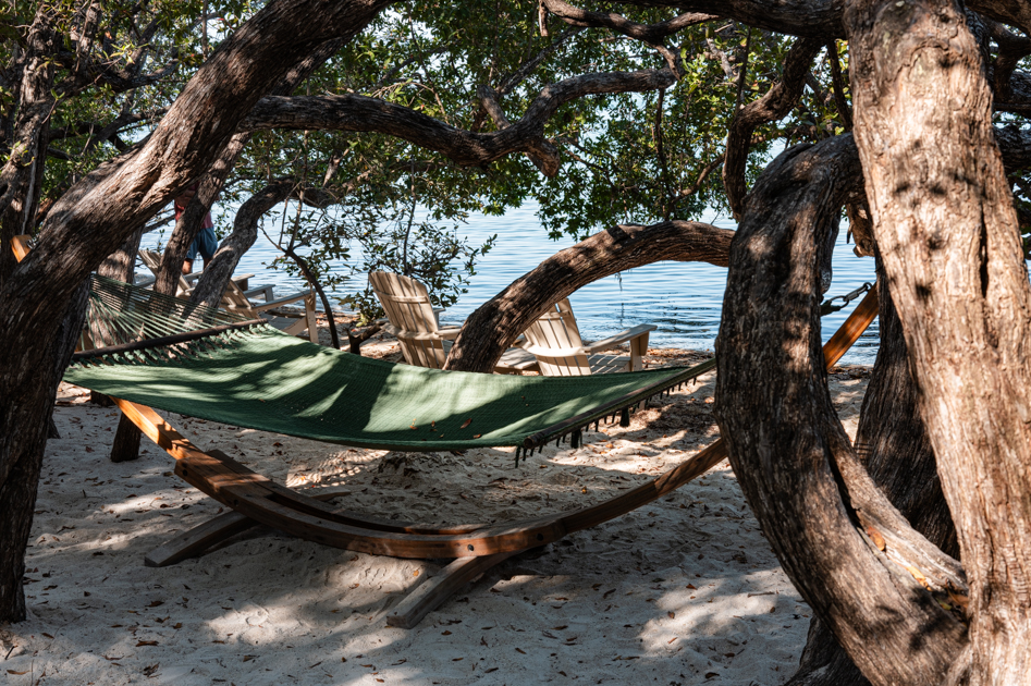 Hammocks on the beach at Baker’s Cay Resort in Key Largo Florida
