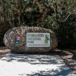 Highlights of the Everglades