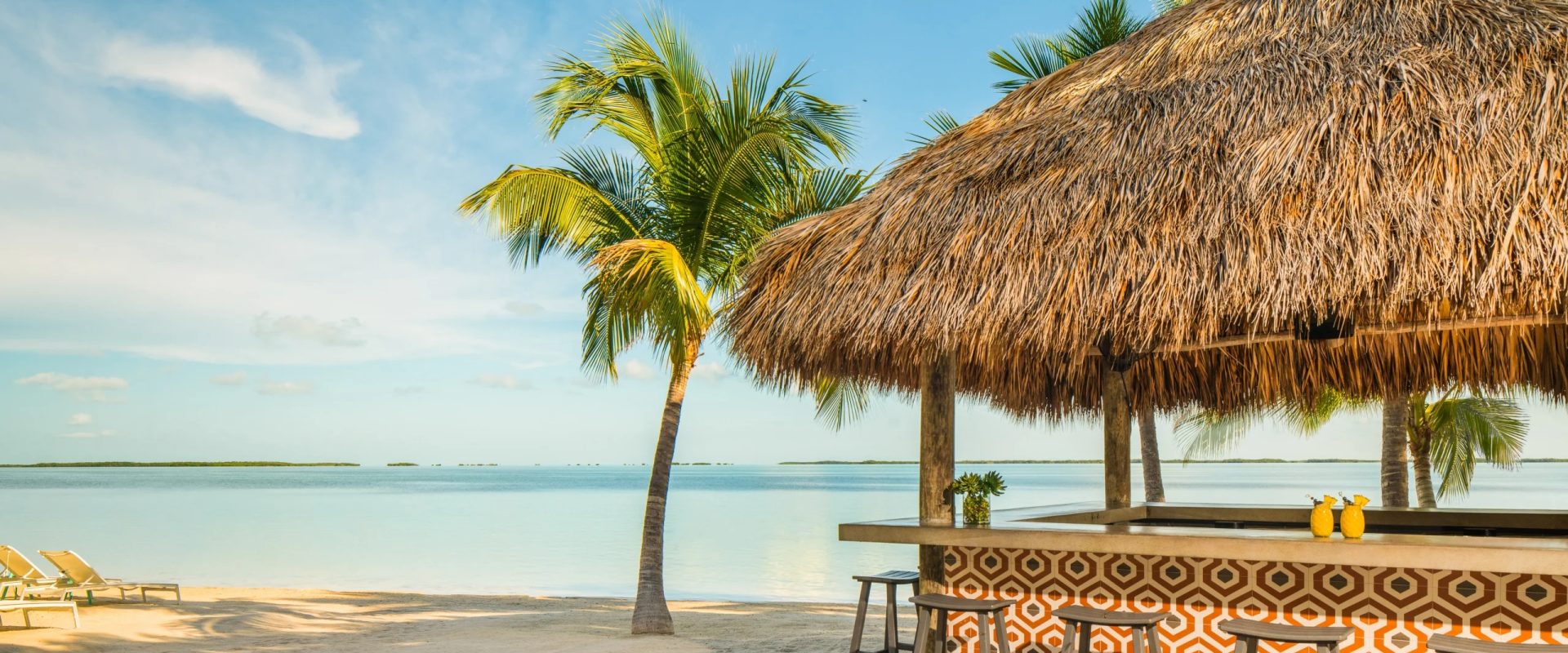 Read more about the article Highlights of Key Largo
