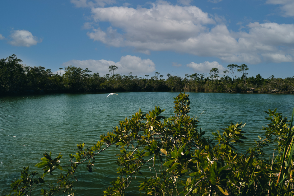 Blue Hole Big Pine Key freshwater lake blue water Florida Keys