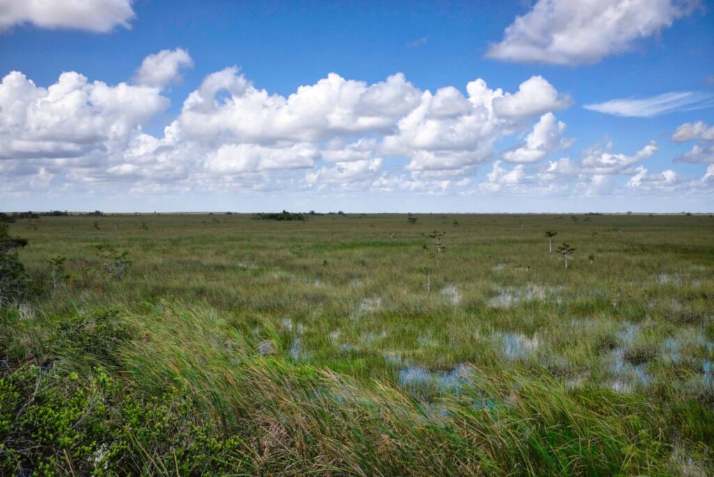 Sawgrass stretching across the Everglades from Pa-hay-okee Overlook under open sky