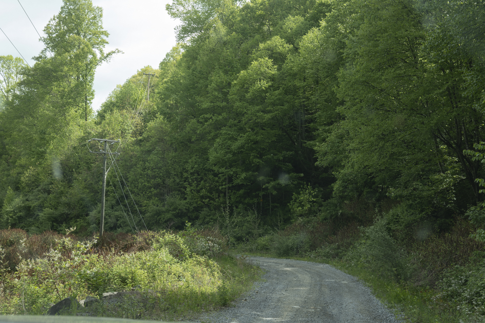Narrow dirt road winding through a quiet Appalachian holler in West Virginia.